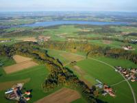 Waldstreifen vor Waginger See